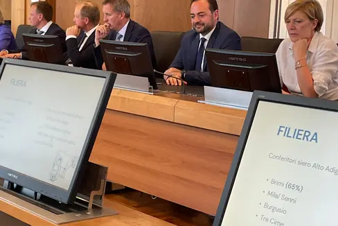 Landwirtschaftslandesrat Luis Walcher (ab 3. von links), Wirtschaftslandesrat Marco Galateo und die Direktorin der Landesabteilung Wirtschaftsentwicklung Manuela Defant bei den Gesprächen zur Milchwirtschaft mit den Vertretern der Agentur für Betriebsentwicklung Invitalia in Rom. (Foto: LPA)