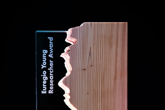 Der Euregio-JungforscherInnenpreis: Insgesamt 44 junge Forschende haben sich mit Arbeiten dafür beworben. (Foto: Euregio)