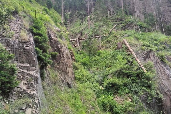 Entlang der Gadertaler Straße bei Zwischenwasser werden vom 8. bis 11. Juli zum Schutz der Verkehrsteilnehmenden und der Infrastruktur vom Borkenkäfer befallene Bäume entfernt. Abends gibt es für einige Stunden eine Einbahnregelung für den Verkehr. (Foto: Ressort für Infrastrukturen und Mobilität)