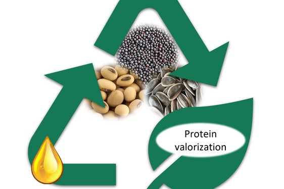 L'immagine simbolo di uno degli studi selezionati in occasione della Call for Contributions, quello del ricercatore di unibz Rodrigo Gonzalez Ortega sulle proteine ricavate dagli oli vegetali con l'anidride carbonica supercritica (SCCO2), che verrà presentato venerdì 8 settembre alle 12.15 nella sala Schlern di Fiera Bolzano