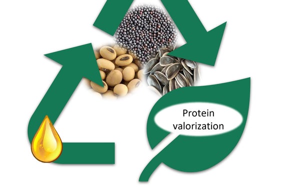 L'immagine simbolo di uno degli studi selezionati in occasione della Call for Contributions, quello del ricercatore di unibz Rodrigo Gonzalez Ortega sulle proteine ricavate dagli oli vegetali con l'anidride carbonica supercritica (SCCO2), che verrà presentato venerdì 8 settembre alle 12.15 nella sala Schlern di Fiera Bolzano