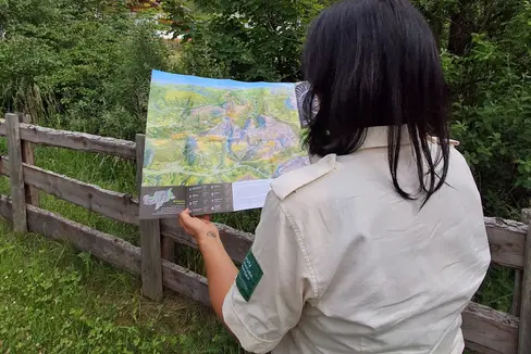 Die neu gestalteten Flyer der Naturparks sind kostenlos in den Naturparkhäusern und bei Tourismusvereinen erhältlich. (Foto: Landesamt für Natur/Marlene Pfeifer)