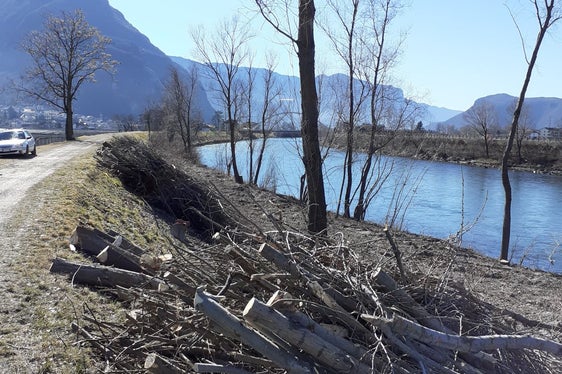 Bei einem Hochwasser mitgerissenes Schwemmholz kann zu Verklausungen, also Verstopfungen des Bachquerschnittes, führen. (Foto: LPA/Landesamt für Wildbach- und Lawinenverbauung Süd)