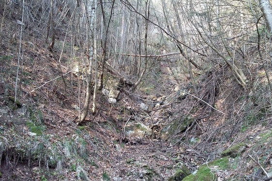 Rio di Colpietra (Foto: ASP/Ufficio sistemazione bacini montani Sud)
