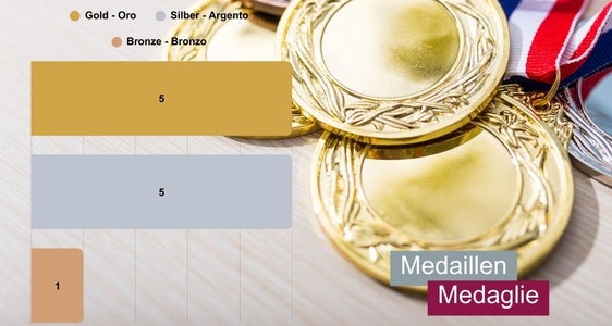 Paralympischer Euregio-Medaillenspiegel (Quelle: Euregio/Olympics.com)
