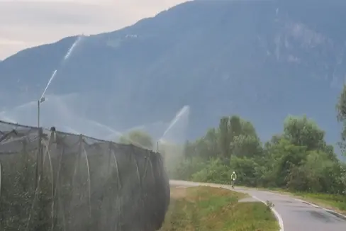 Modificati e adeguati i criteri per gli aiuti in agricoltura. Quattro gli ambiti di interesse: agevolazione delle abitazioni rurali, concessione di aiuti nell'ambito dell'agriturismo, incentivazione degli investimenti nelle imprese agricole e nel settore dell'irrigazione (Foto: Thomas Senoner)