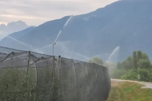 Modificati e adeguati i criteri per gli aiuti in agricoltura. Quattro gli ambiti di interesse: agevolazione delle abitazioni rurali, concessione di aiuti nell'ambito dell'agriturismo, incentivazione degli investimenti nelle imprese agricole e nel settore dell'irrigazione (Foto: Thomas Senoner)