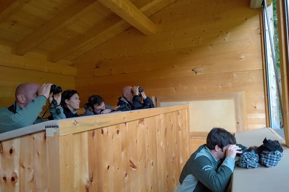 Höhepunkt für diejenigen, die geblieben sind: Wildbeobachtung. Sie bekamen Gämsen und Rehwild vor die Linse und hörten die ersten Hirsche röhren. (Foto: LPA/Forstschule Latemar)