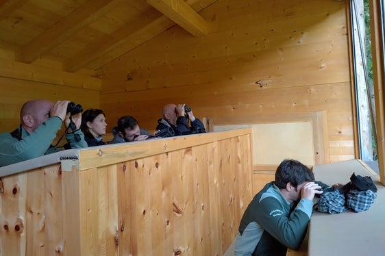Chi è rimasto fino a sera ha potuto osservare con il cannocchiale camosci e caprioli e ascoltare il bramito dei cervi. (Foto: USP/Scuola forestale Latemar)