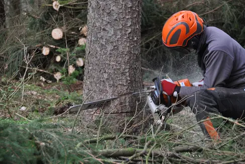 La sicurezza sul lavoro è importante in tutti i settori. La formazione e l'aggiornamento offerti in questo ambito devono essere di alta qualità e mirati, come previsto nella bozza delle nuove linee guida in materia. Il Comitato provinciale di coordinamento per la sicurezza del lavoro si è recentemente occupato di questo tema. (Foto: USP/Pixabay - l'utilizzo della foto è ad uso esclusivo del presente comunicato)