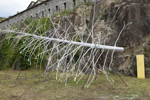 L'Albero dei Tutti è attualmente esposto nel Forte di Fortezza. (Foto: USP/Forte di Fortezza)