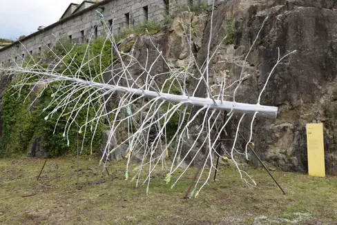 Der Baum für alle ist derzeit in der Festung Franzensfeste zu sehen. (Foto: LPA/Festung Franzensfeste)