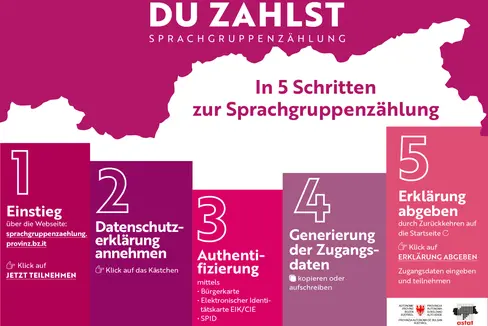 5 Schritte sind nötig, um an der Online-Sprachgruppenzählung teilzunehmen. (Grafik: LPA/Astat)