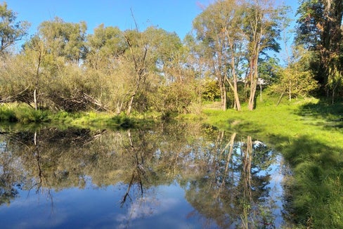 Das Land Südtirol kann Biotope ankaufen, um ihren Schutz dauerhaft sicherzustellen. Dafür gibt es eigene Kriterien, die die Landesregierung nun genehmigt hat. (Foto: LPA/Rainer Ploner)
