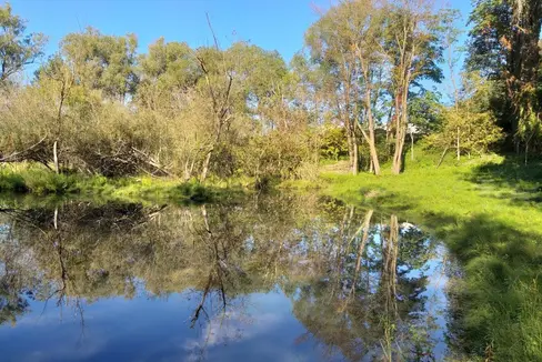 La Provincia può acquistare terreni per salvaguardare le aree protette a lungo termine. (Foto: USP/Rainer Ploner)