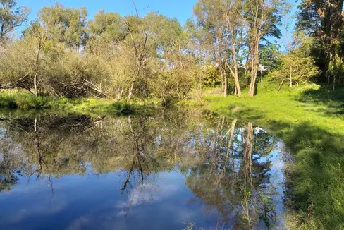 La Provincia può acquistare terreni per salvaguardare le aree protette a lungo termine. (Foto: USP/Rainer Ploner)