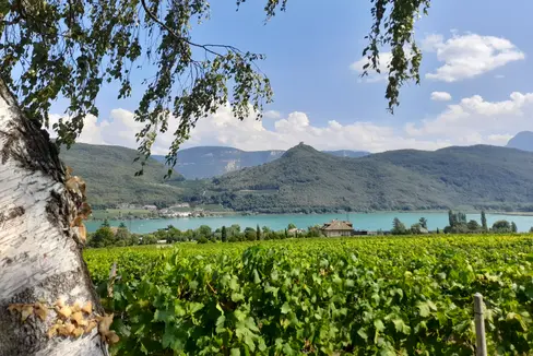 Der Tag vor dem großen Regen: Blick von St. Josef auf den Kalterer See am Samstag, 26. August (Foto: LPA/Maja Clara)