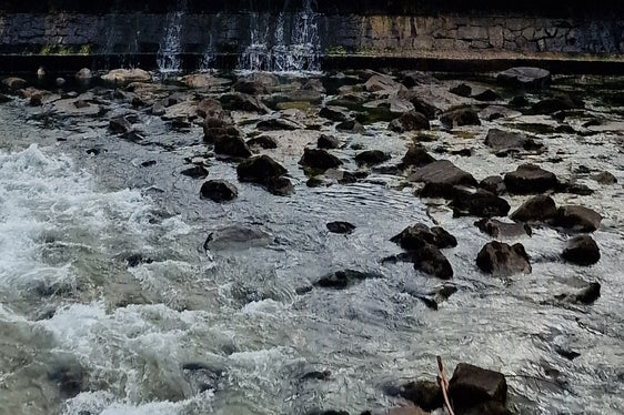 Aus Gründen der Arbeitssicherheit und wegen der geringen Breite der Fahrbahn ist es notwendig, den von den Arbeiten betroffenen Abschnitt der Rienz in Bruneck ab dem 2. März zu sperren; die Arbeiten werden voraussichtlich am 29. Mai abgeschlossen. (Foto: LPA/Landesamt für Wildbach- und Lawinenverbauung Ost in der Agentur für Bevölkerungsschutz)