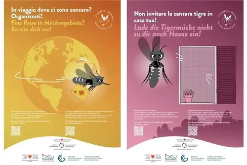 La zanzara tigre asiatica si è diffusa anche in Alto Adige e può trasmettere agenti patogeni. Per questo motivo l'Azienda sanitaria dell'Alto Adige ha avviato una campagna informativa. (Foto: Azienda sanitaria dell'Alto Adige)