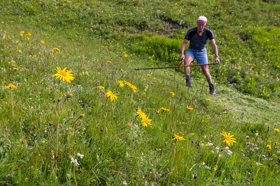 Um die Zukunft der Weide geht es in der Sonderausstellung im Naturparkhaus Rieserferner-Ahrn in Sand in Taufers. (Foto: LPA/Josef Hackhofer)