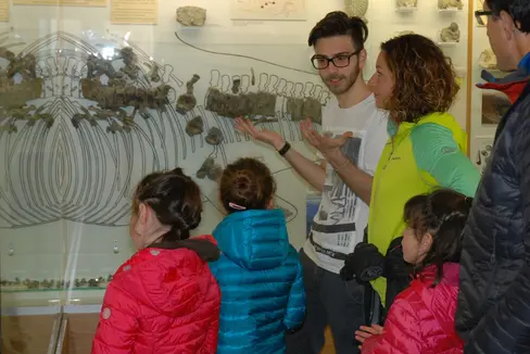 La Giunta provinciale ha nominato oggi (23 aprile) i componenti della Consulta museale (Foto: ASP/Museo della Val Gardena)