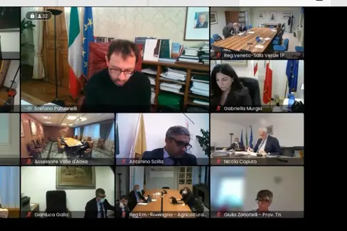 Videoconferenza sulla PAC con il ministro Stefano Patunelli. L'assessore Arnold Schuler ha rappresentato le richieste dell'Alto Adige. (Foto: ASP/Noemi Prinoth)