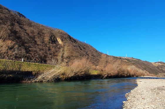 A febbraio inizieranno i lavori sulla riva destra dell'Isarco, nella zona della foce a valle all’altezza del biotopo Fischerspitz (Foto: ASP/Ufficio sistemazione bacini montani Sud)