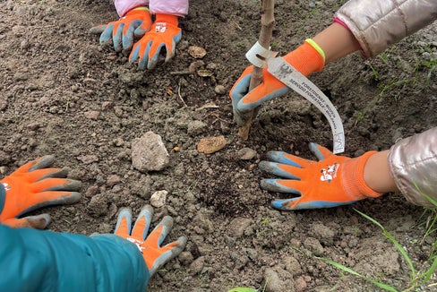 Fleißige Hände: Die Kinder der 1. und 5. Klasse der Grundschule Silvius Magnago in Vahrn haben sich ins Zeug gelegt und jede Menge Sträucher zur Begrünung der neuen Umfahrung Vahrn eingepflanzt. (Foto: LPA/Armin Oberhofer)