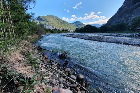 Il bosco ripariale al di sotto della confluenza tra i fiumi Isarco e Talvera nell'Isarco (nella foto) rischia di essere eliminato. Ora ripartiranno i lavori per aumentare la sicurezza contro le inondazioni e promuovere il paesaggio fluviale quasi naturale (Foto: ASP/Ufficio sistemazione bacini montani Sud)