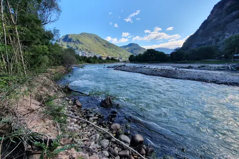 Der Auwald unterhalb der Mündung der Talfer in den Eisack (im Bild) droht abgetragen zu werden. Nun startet das Landesamt für Wildbach- und Lawinenverbauung Süd mit Arbeiten, um die Hochwassersicherheit zu erhöhen und die naturnahe Flusslandschaft zu fördern. (Foto: LPA/Landesamt für Wildbach- und Lawinenverbauung Süd)