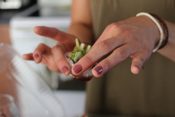 Den Ausbildungsplänen der Landesberufs- und Landesfachschulen für das kommende Bildungsjahr hat die Landesregierung zugestimmt. Sie stehen im Zeichen der Konsolidierung von Ausbidlung und Angebot. (Foto: Unsplash)