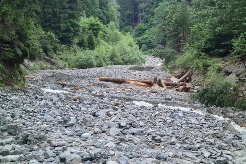 Un bosco di protezione sano è di grande importanza per gli insediamenti, le infrastrutture e le aree agricole. Il 14 marzo verrà assegnato il Premio Bosco di protezione della Comunità di lavoro delle associazioni forestali alpine. (Foto: USP)