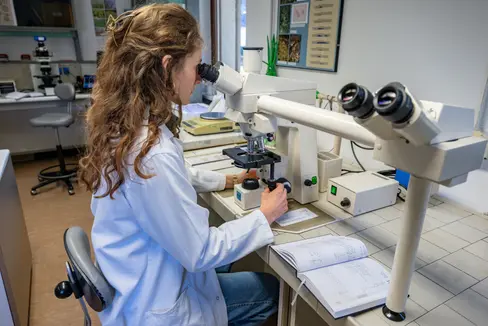 Gemeinsam mit der Landesagentur für Umwelt und Klimaschutz hat der Südtiroler Sanitätsbetrieb auch 2025 im Auftrag des Landes die Rückstände von Pflanzenschutzmitteln (Abdrift) auf öffentlichen Spielplätzen erhoben. (Foto: LPA/Greta Stuefer)