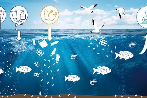 L'interesse per i progetti di Ambiente.Scuola è stato elevato anche nell'anno scolastico appena trascorso: temi come le microplastiche diventano sempre più importanti.
(Foto: Agenzia provinciale per l'ambiente e la tutela del clima)