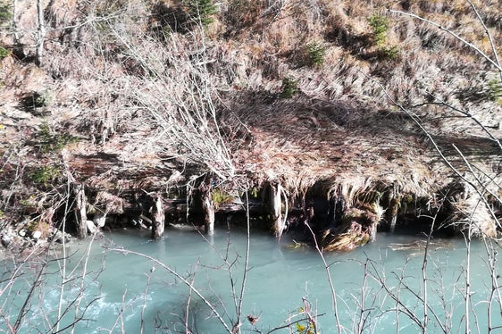 Vorher: Unterspülte Uferpfahlwände wies der Sextnerbach vor Beginn der Arbeiten des Landesamtes für Wildbachverbauung Ost auf. (Foto: LPA/Landesamt für Wildbach- und Lawinenverbauung Ost)
