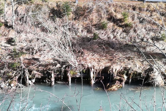 Vorher: Unterspülte Uferpfahlwände wies der Sextnerbach vor Beginn der Arbeiten des Landesamtes für Wildbachverbauung Ost auf. (Foto: LPA/Landesamt für Wildbach- und Lawinenverbauung Ost)