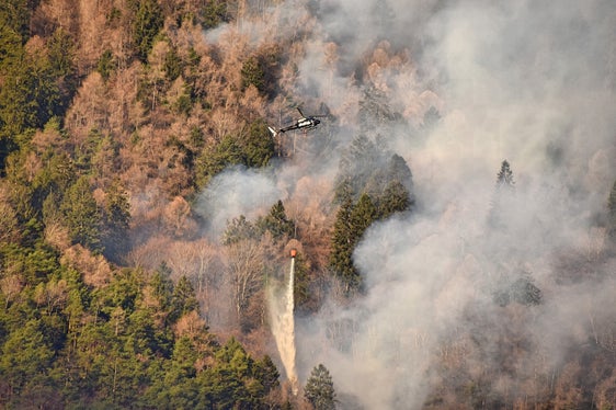 Meglio prevenire che curare: una volta che gli incendi si sono diffusi nel bosco, le fiamme devono essere combattute da tutti i lati per avere una possibilità di estinguerli. (Foto: ASP/Ripartizione Foreste)