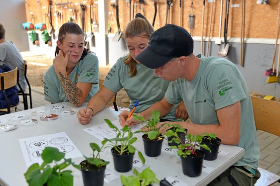Anche questa era una prova del concorso (da sinistra): Noemi Breitenberger, Hanna Egger e Simon Hofer hanno descritto le piantine di ortaggi con il loro nome botanico e hanno associato i semi corrispondenti. (Foto: USP/Scuola professionale Laimburg)