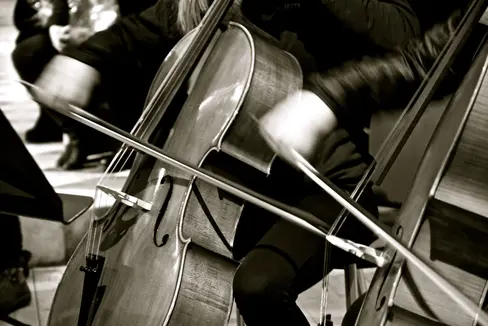 Der Südtiroler Musikfonds unterstützt 19 Projekte, die von einer Fachkommission auf ihren kulturellen und wirtschaftlichen Wert hin beurteilt wurden. Insgesamt 49 Projekte wurden eingereicht, 39 wurden der Fachkommission vorgelegt. (Foto: LPA)