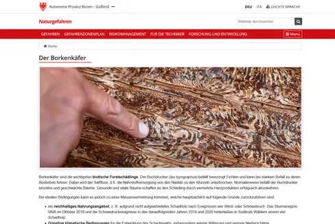 provinz.bz.it/Borkenkäfer: Auf dieser Informationsseite des Landes Südtirol gibt es Informationen in Schrift und Bild zum aktuellen Waldschädling Nr. 1. (Foto: LPA)