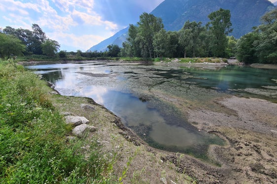 I Bacini montani stanno adottano le misure necessarie ad eliminare la pianta invasiva Elodea nuttallii dal Laghetto di Rablà (Foto: ASP/Ufficio sistemazione bacini montani Ovest dell'Agenzia per la Protezione civile)