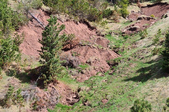 Die Unwetterschäden im Hauserlahn-Graben vor Beginn der Arbeiten des Landesamtes für Wildbach- und Lawinenverbauung Nord. (LPA/Landesamt für Wildbach- und Lawinenverbauung Nord)
