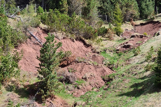 Un'immagine del fossato Hauserlahn prima dell'avvio dei lavori di risanamento (Foto: ASP/Ufficio Sistemazione bacini montani Nord)