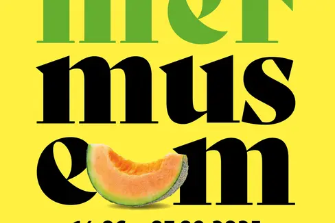 Am 14. Juni startet wieder die Sommeraktion der Museen, mit denen Inhaberinnen und Inhaber des abo+ kostenfreien Eintritt in über 50 Museen und Ausstellungsorte erhalten. (Grafik: Amt für Museen und museale Forschung)