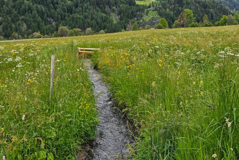 Welche Herausforderungen und Vorteile bringt die traditionelle Waalbewässerung mit sich? Diese und andere Fragen standen im Mittelpunkt der Wanderung auf der Malser Haide am 3. Juni, die sich der landwirtschaftlichen Praxis und den wiesenbrütenden Vogelarten widmete. (Foto: Heimatpflegeverband Südtirol)