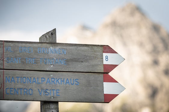 Der Südtiroler Anteil des Nationalparks Stilfserjoch umfasst 53.495 Hektar Fläche und fünf Besucherzentren. Einblicke in Flora und Fauna gibt es bei vielen geführten Exkursionen den ganzen Sommer über. (Foto: IDM Südtirol/Klaus Huber)