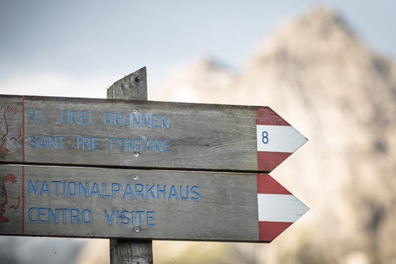 Der Südtiroler Anteil des Nationalparks Stilfserjoch umfasst 53.495 Hektar Fläche und fünf Besucherzentren. Einblicke in Flora und Fauna gibt es bei vielen geführten Exkursionen den ganzen Sommer über. (Foto: IDM Südtirol/Klaus Huber)
