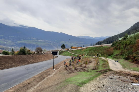 Für die verschieden Flächen bei der Umfahrung Vahrn gibt es ein eigenes Bepflanzungskonzept. Die Kinder der Grundschule haben einen Teil der Fläche zwischen Radweg und Umfahrungsstraße bepflanzt. (Foto: LPA/Florian Knollseisen)