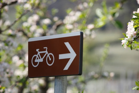 Die Euregio will die Fahrradmobilität in den drei Ländern durch die Aufwertung von Radrouten stärken. (Foto: IDM/Blickle)