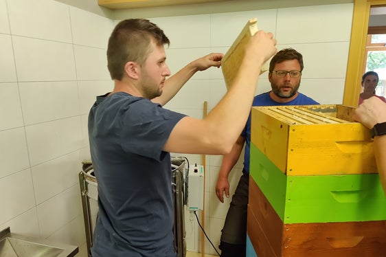 Come affrontare le diverse attività dell'apicoltura durante l'anno: è uno degli aspetti che i partecipanti imparano nei corsi di base. (Foto: Istituto tecnico Laimburg/Klaus Blasbichler)